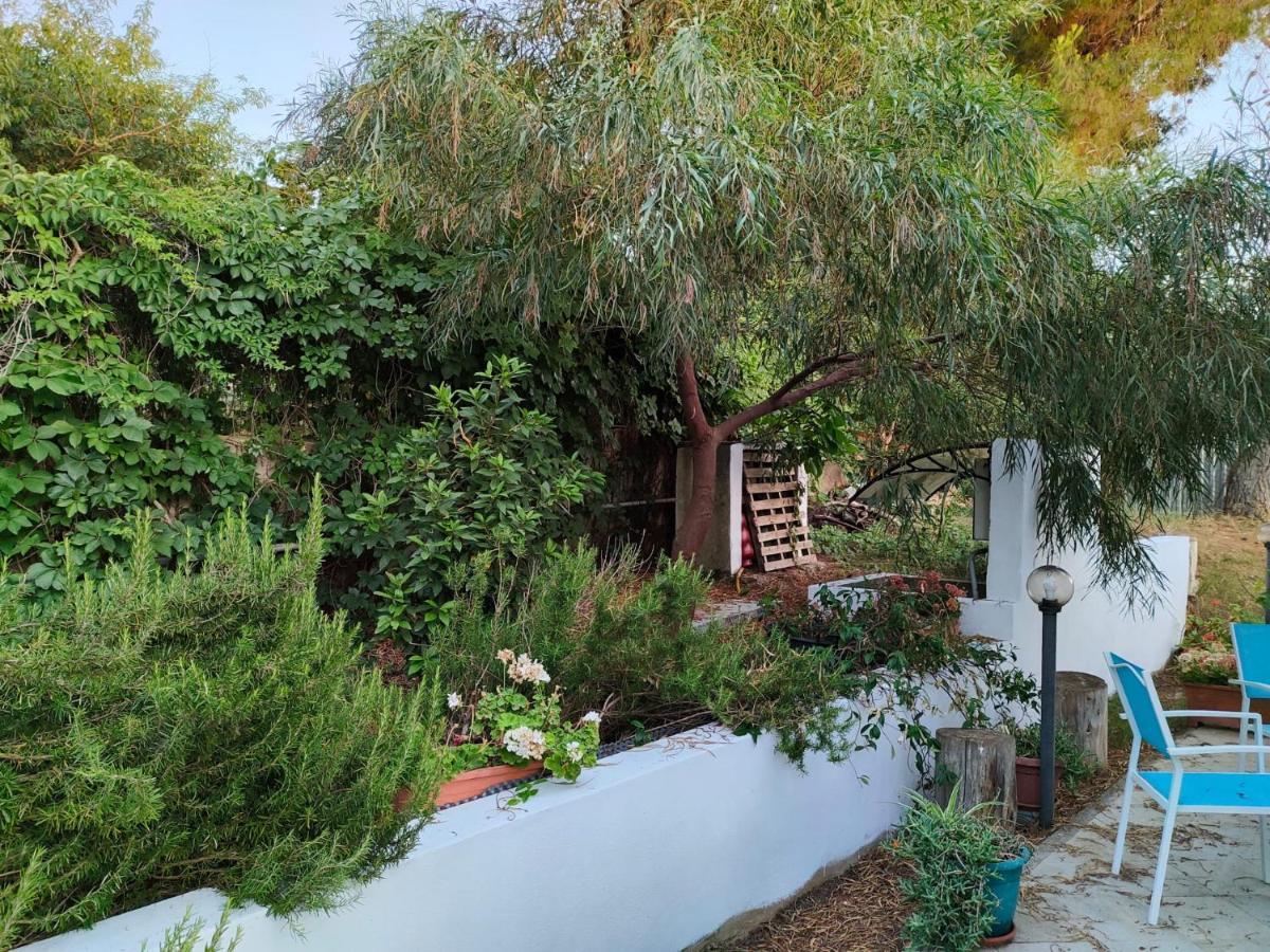 Filoxenia di Umberto Guest House Sassari Bagian luar foto